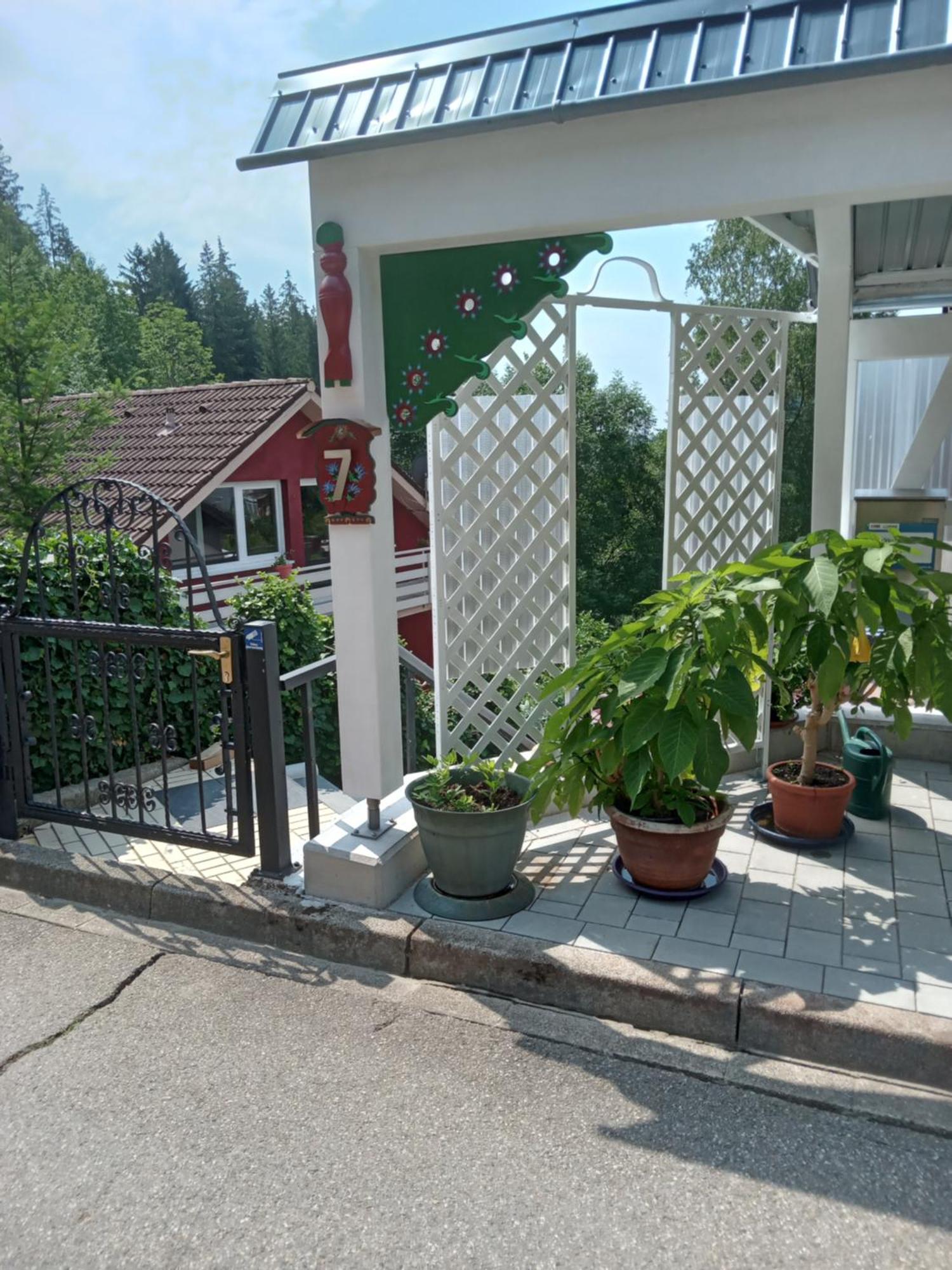 Haus Wiesental Kleines Wiesental Εξωτερικό φωτογραφία