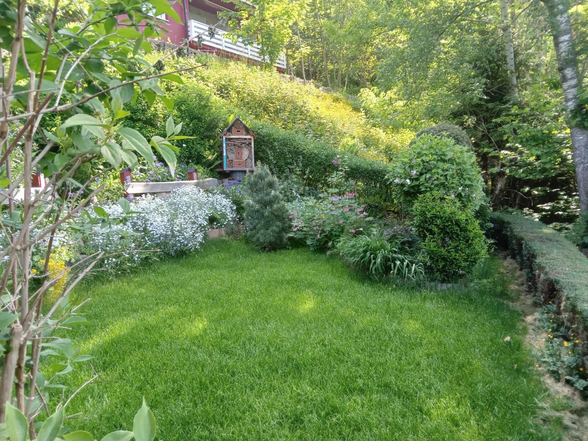 Haus Wiesental Kleines Wiesental Εξωτερικό φωτογραφία