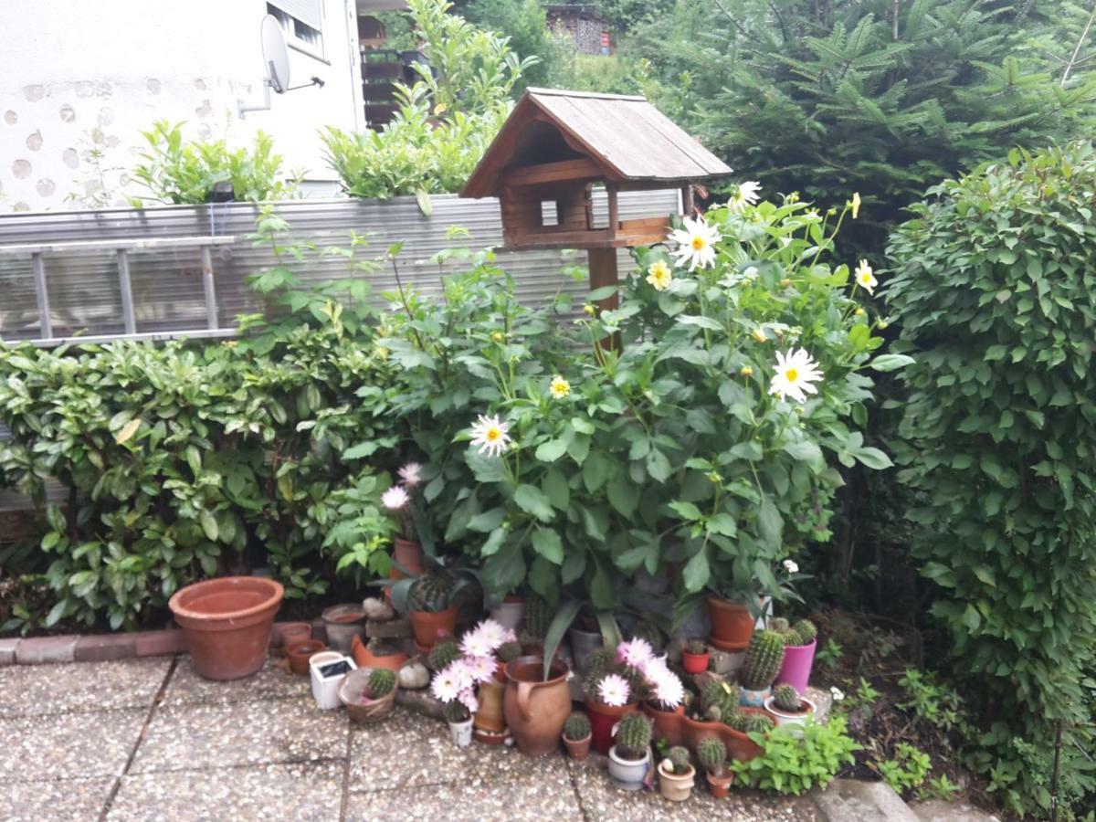 Haus Wiesental Kleines Wiesental Εξωτερικό φωτογραφία