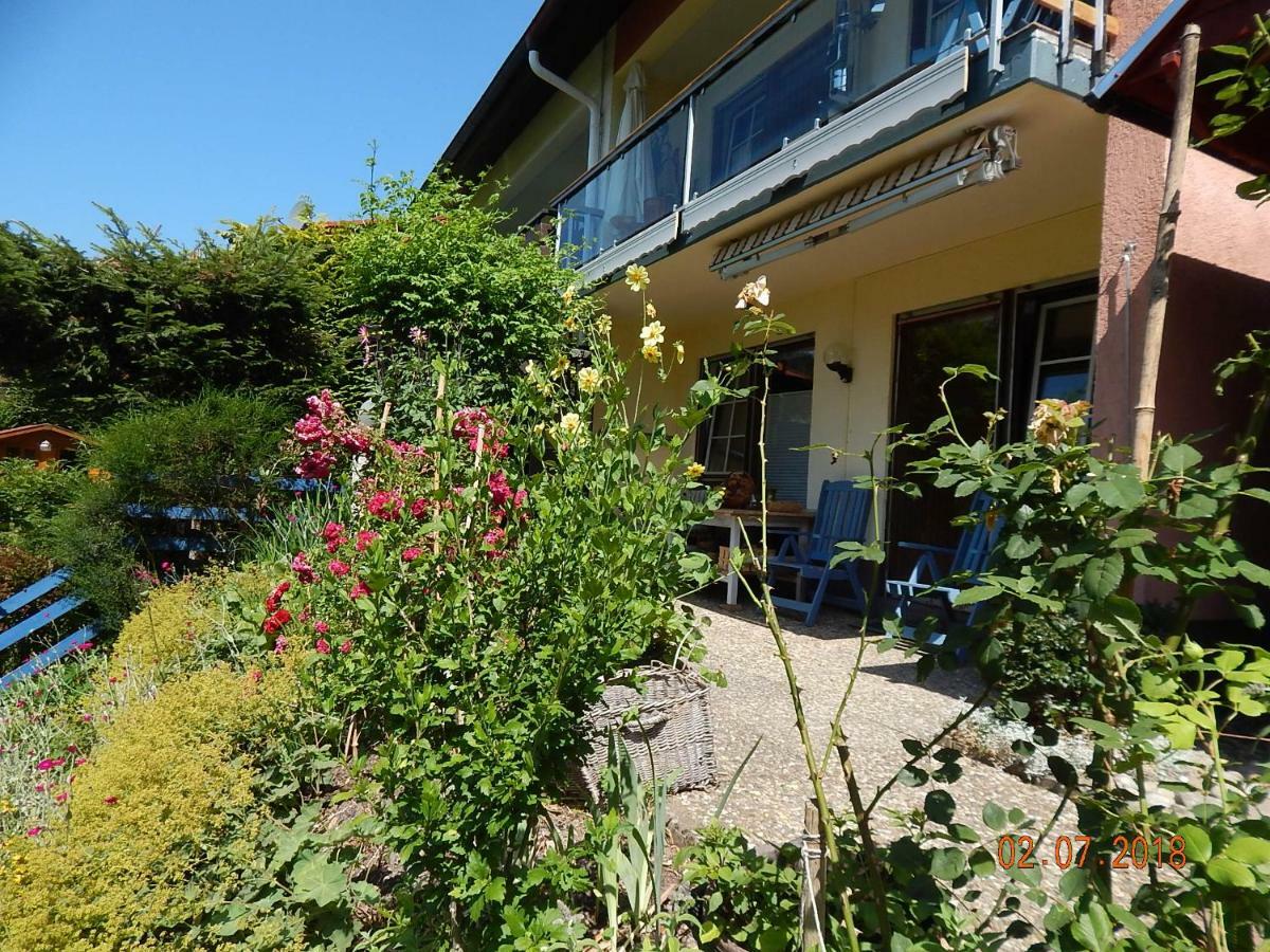 Haus Wiesental Kleines Wiesental Εξωτερικό φωτογραφία