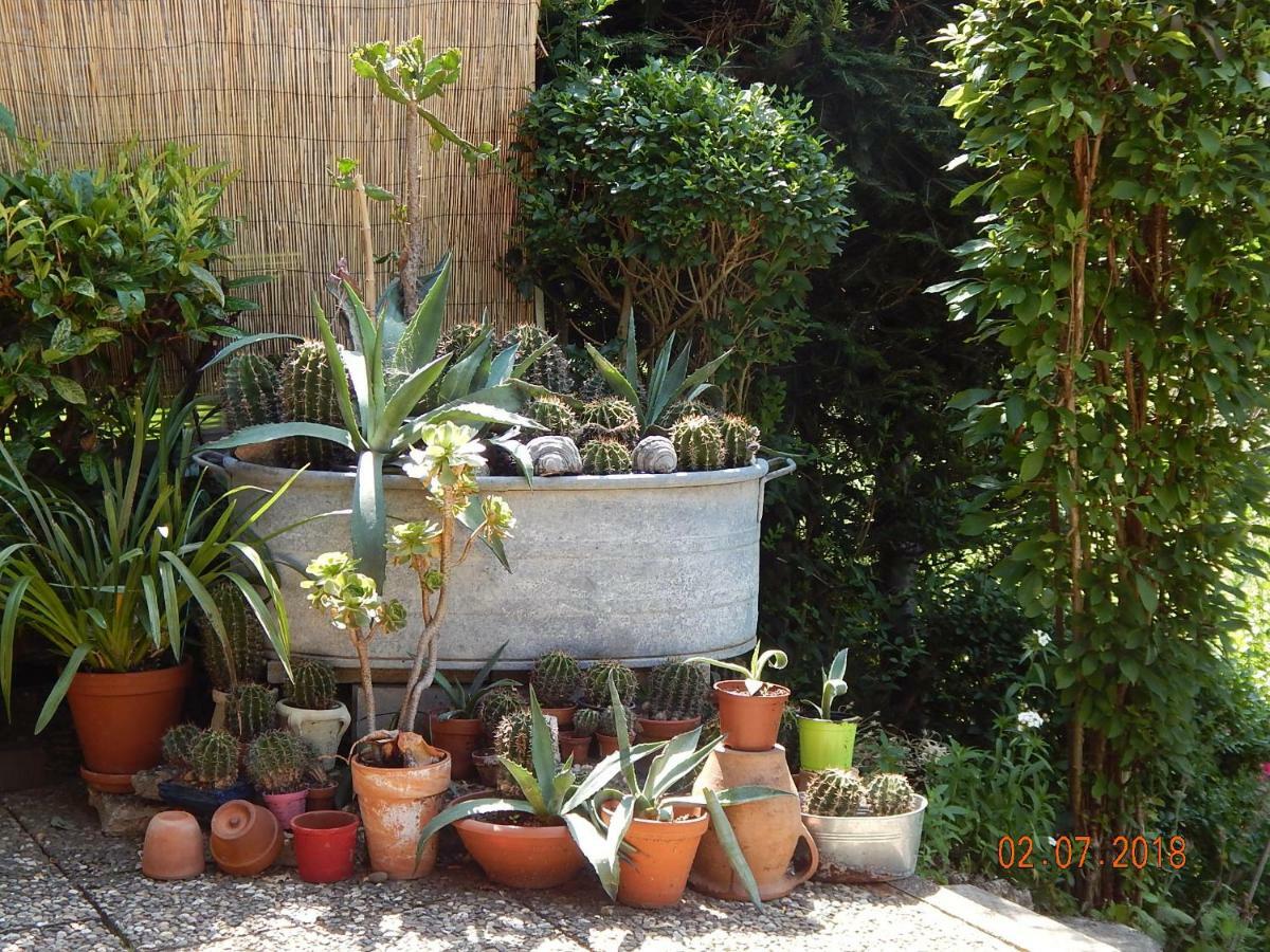 Haus Wiesental Kleines Wiesental Εξωτερικό φωτογραφία