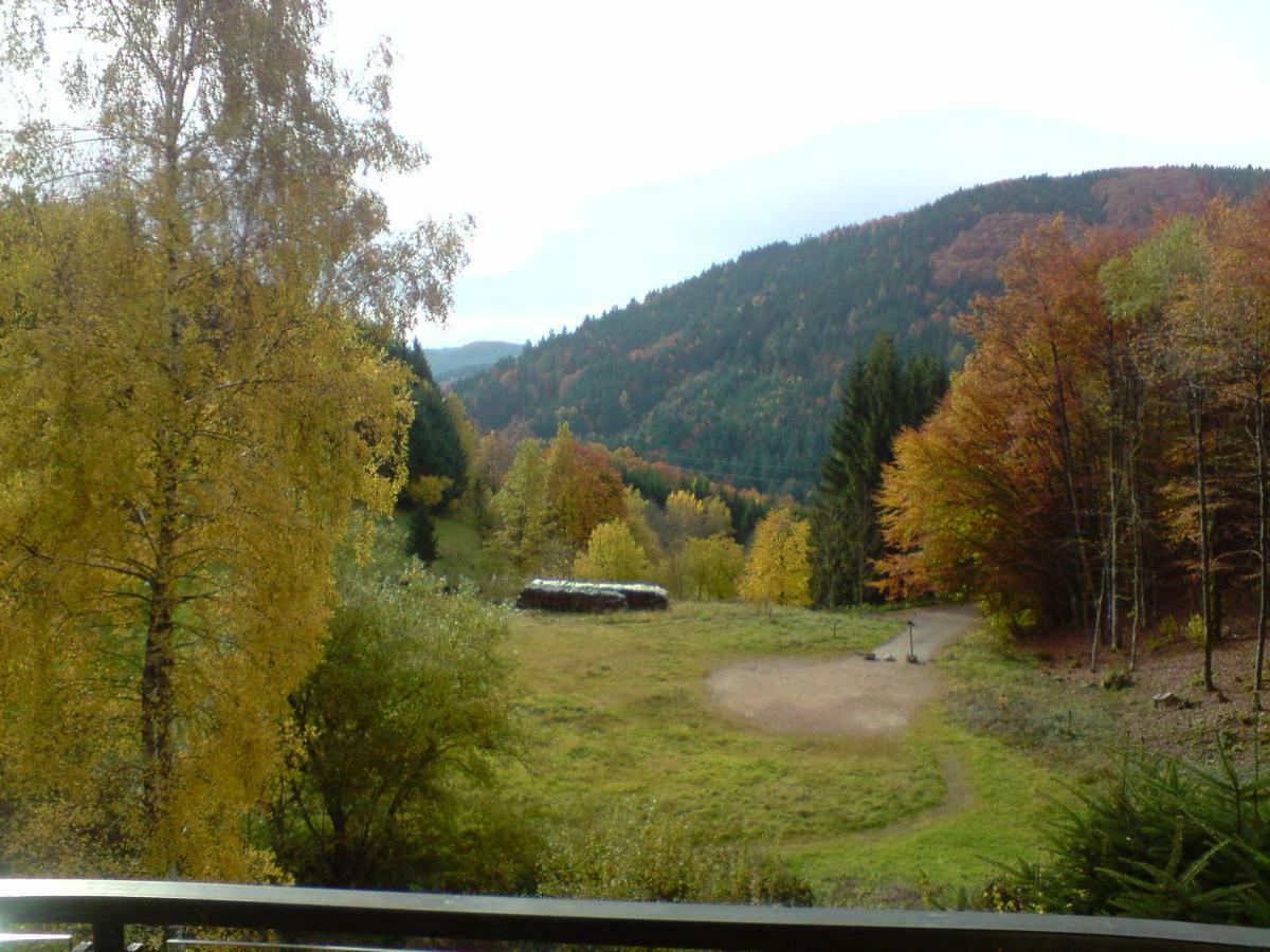 Haus Wiesental Kleines Wiesental Εξωτερικό φωτογραφία