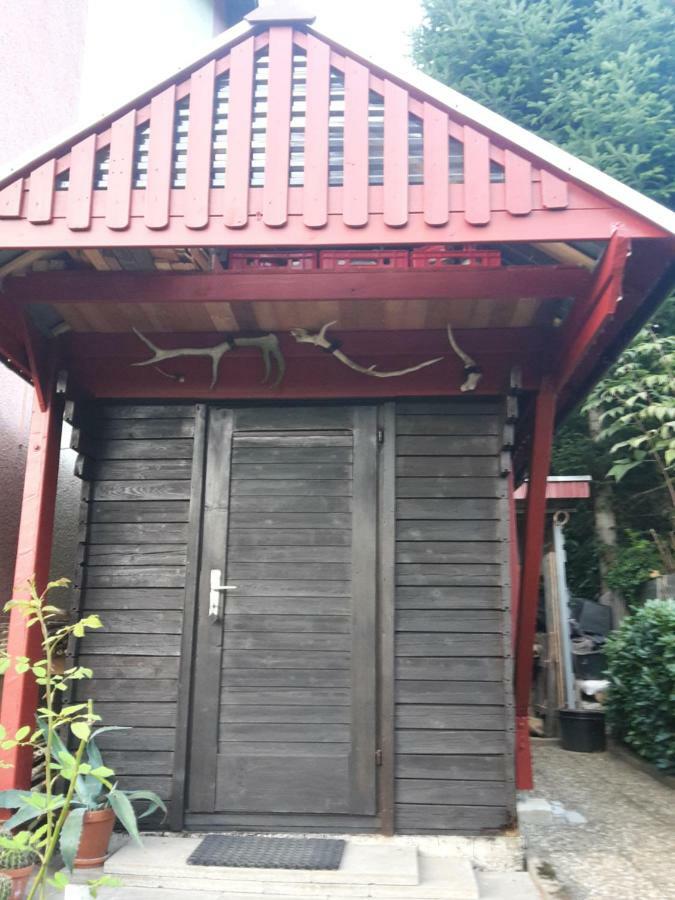Haus Wiesental Kleines Wiesental Εξωτερικό φωτογραφία